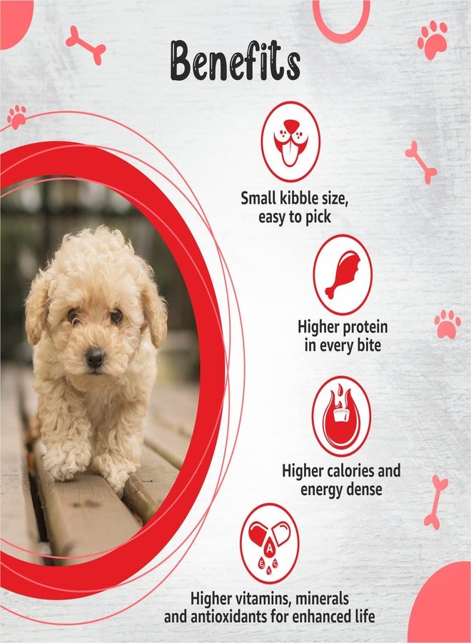 Drools Small Breed Puppy Dog Food, 1.2kg + Free Creamy Dog Treat (75g) | Chicken Flavour | High Protein in Every Bite | Small Kibble Size, Easy to Pick | Higher Calories & Energy Dense - Image 4